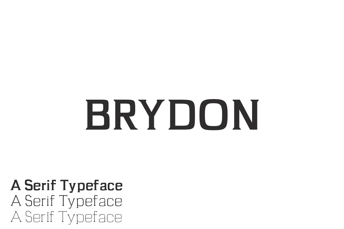 Brydon Serif Font: Sharpen Your Campaign Visuals