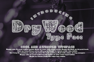DryWood Font Review: A Bold Typeface for Campaigns