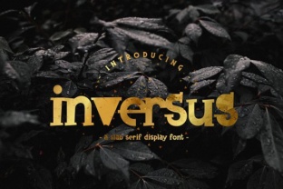 Inversus Typeface: Bold Slab Serif for Branding