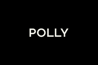 Polly: A Minimal Sans Serif Font for Modern Editorial Design