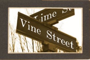 Vine Street: A Serif Font for Clear Campaigns